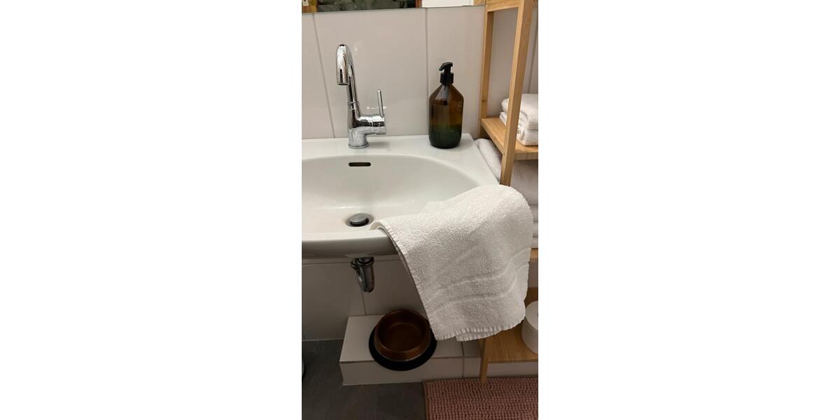 Wohnen auf Zeit Würzburg Sanderau - 1 Zimmer, 20 m&sup2;, 300&euro; | Angebot:24510749