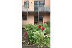 Erdgeschoßwohnung Wertheim - 2 Zimmer, 68 m&sup2;, 640&euro; | Angebot:26537287