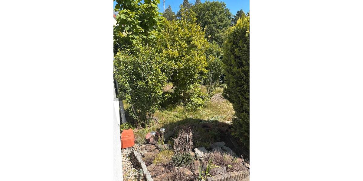 Erdgeschoßwohnung Hoyerswerda - 3 Zimmer, 85 m&sup2;, 900&euro; | Angebot:24729924