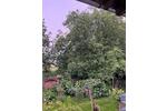 Einfamilienhaus Oberbergkirchen - 5 Zimmer, 180 m&sup2;, 1.500&euro; | Angebot:26584369