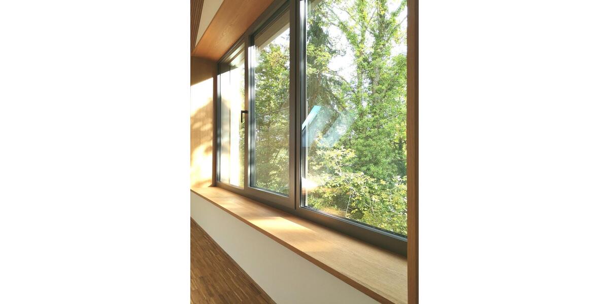 Einfamilienhaus Buckenhof - 6 Zimmer, 304 m&sup2;, 5.200&euro; | Angebot:23879656