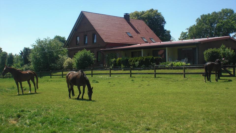 1,5 Zimmer-Wohnung an weibliche Person 1.5 zimmer