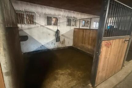 Gewerbeobjekt Wanzleben-Börde Börde - 800&euro; | Angebot:25364166