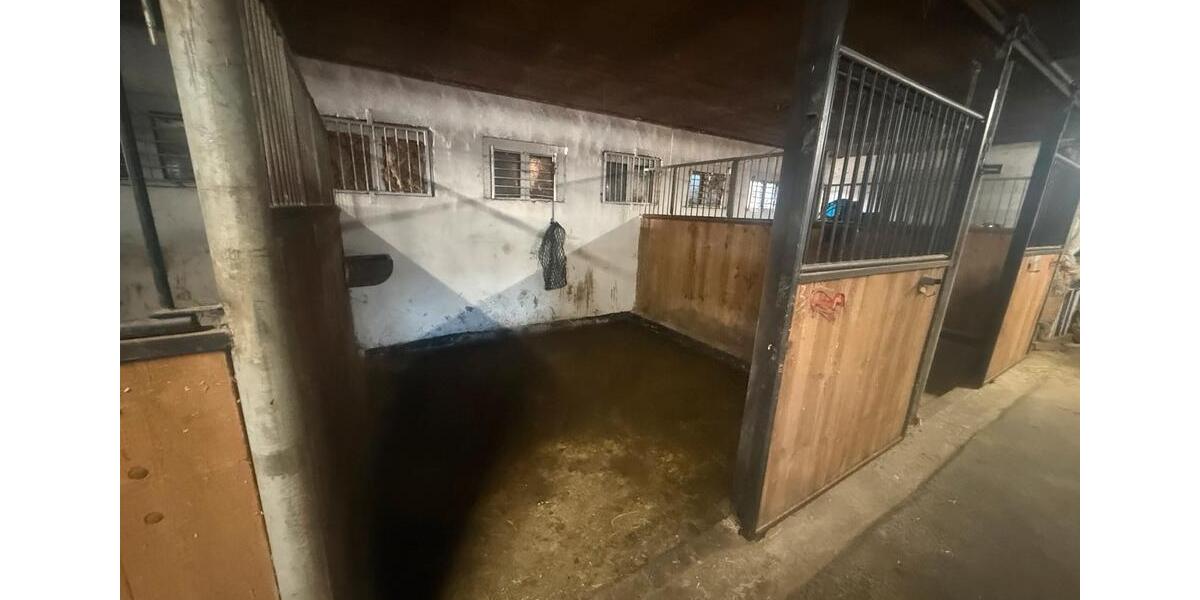 Gewerbeobjekt Wanzleben-Börde Börde - 800&euro; | Angebot:25364166