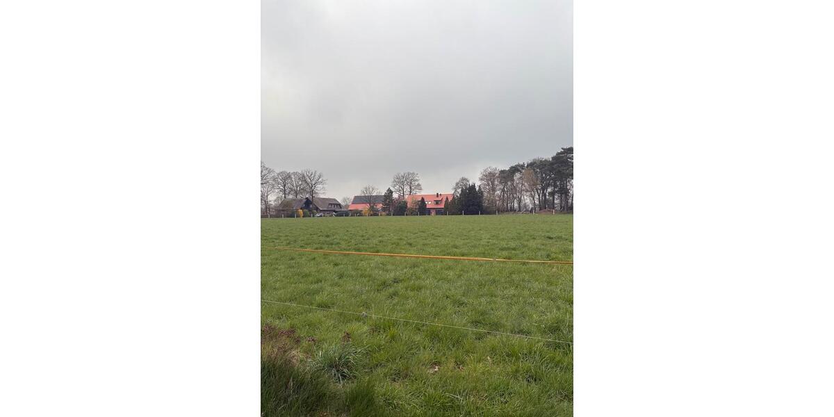 Dachgeschoßwohnung Coesfeld - 2 Zimmer, 60 m&sup2;, 550&euro; | Angebot:26441337