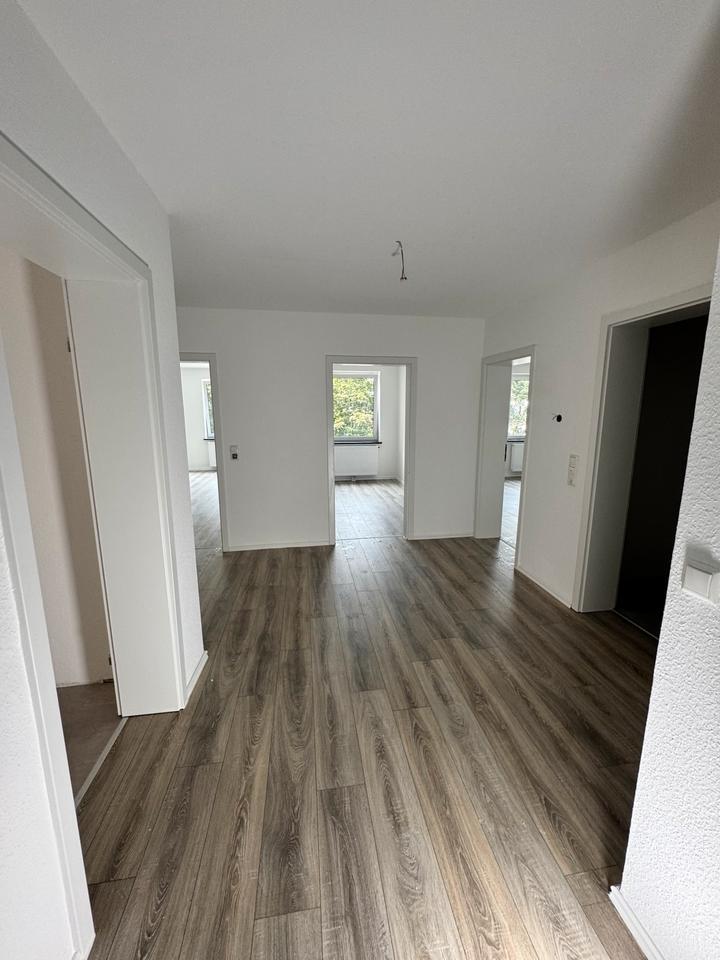 Frisch sanierte 4-Zimmer-Wohnung-Jasperallee 60 Braunschweig zimmer
