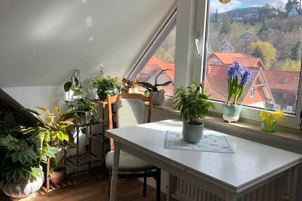 Wohnen auf Zeit Wernigerode - 1 Zimmer, 35 m&sup2;, 430&euro; | Angebot:26178664