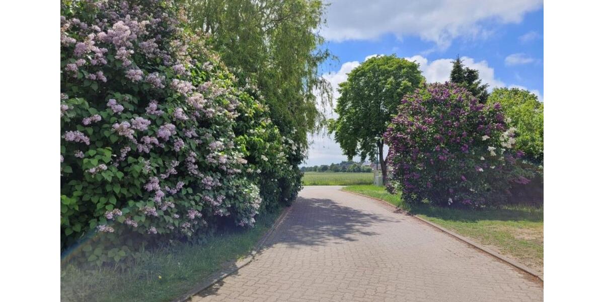 Gewerbeobjekt Ziethen - 590&euro; | Angebot:23772896