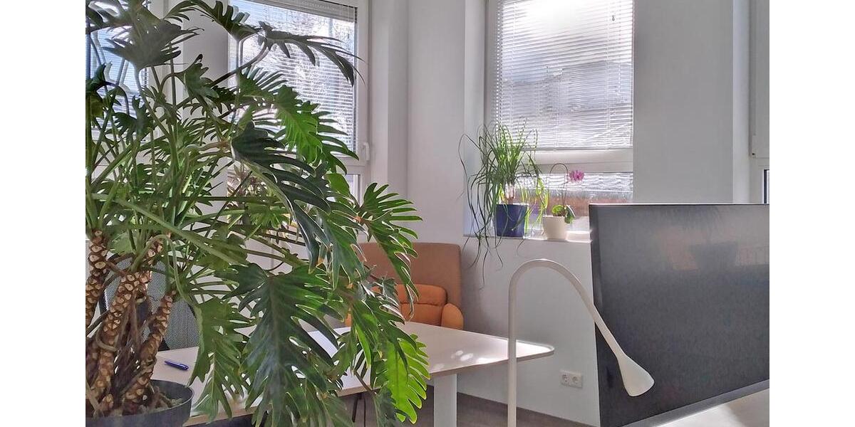Gewerbeobjekt Andernach - 199&euro; | Angebot:26603253