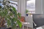 Gewerbeobjekt Andernach - 199&euro; | Angebot:26603253