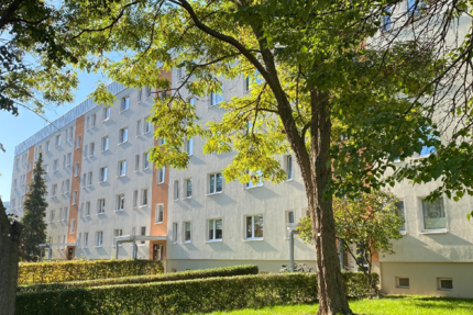 Wohnung Wernigerode Stadtfeld - 1 Zimmer, 27 m&sup2;, 193&euro; | Angebot:25983214