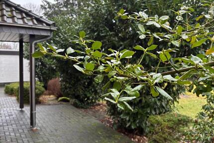 Wohnung Hövelhof - 4 Zimmer, 95 m&sup2;, 1.000&euro; | Angebot:25173121