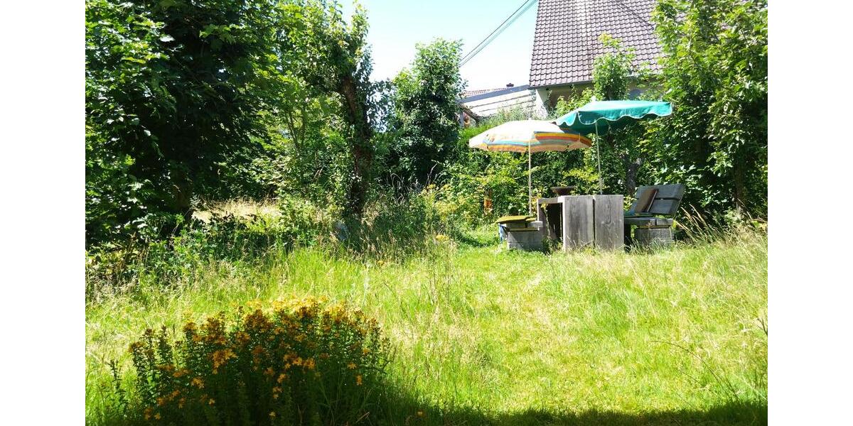 Wohnen auf Zeit Ransbach-Baumbach Baumbach - 1 Zimmer, 15 m&sup2;, 550&euro; | Angebot:26462306