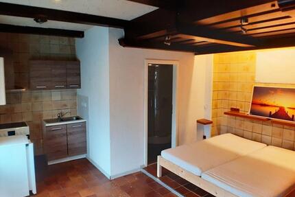 Wohnung Billigheim - 1 Zimmer, 29 m&sup2;, 300&euro; | Angebot:25319653