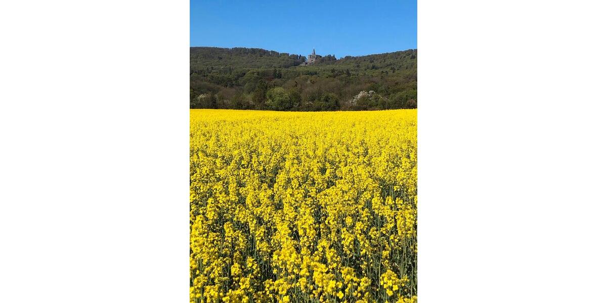 Etagenwohnung Kassel Kirchditmold - 18 Zimmer, 18 m&sup2;, 450&euro; | Angebot:25988967