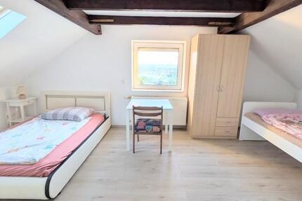 Möbilierte helle 2-Zimmer-DG-Wohnung in Vaihingen Enz 60€Tag 2 zimmer