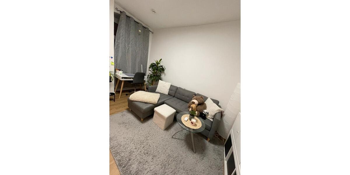 Gemütliche 44 qm Wohnung im Westlichen Ringgebiet ab Februar 2 zimmer