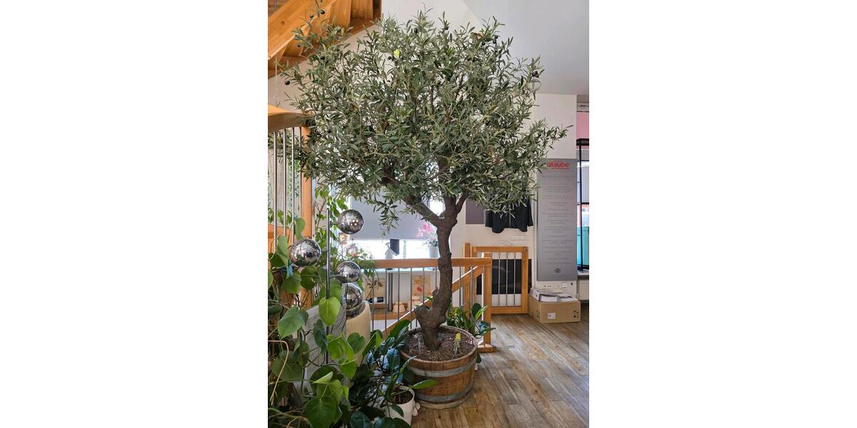 Gewerbeobjekt Brandenburg an der Havel - 980&euro; | Angebot:26504505