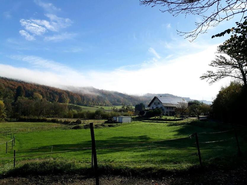 Hochwertige Wohnung in idyllischer Alleinlage auf Pferdehof