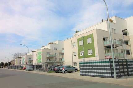 Wohnung zum Mieten in Groß-Gerau 804,80 € 80.48 m²