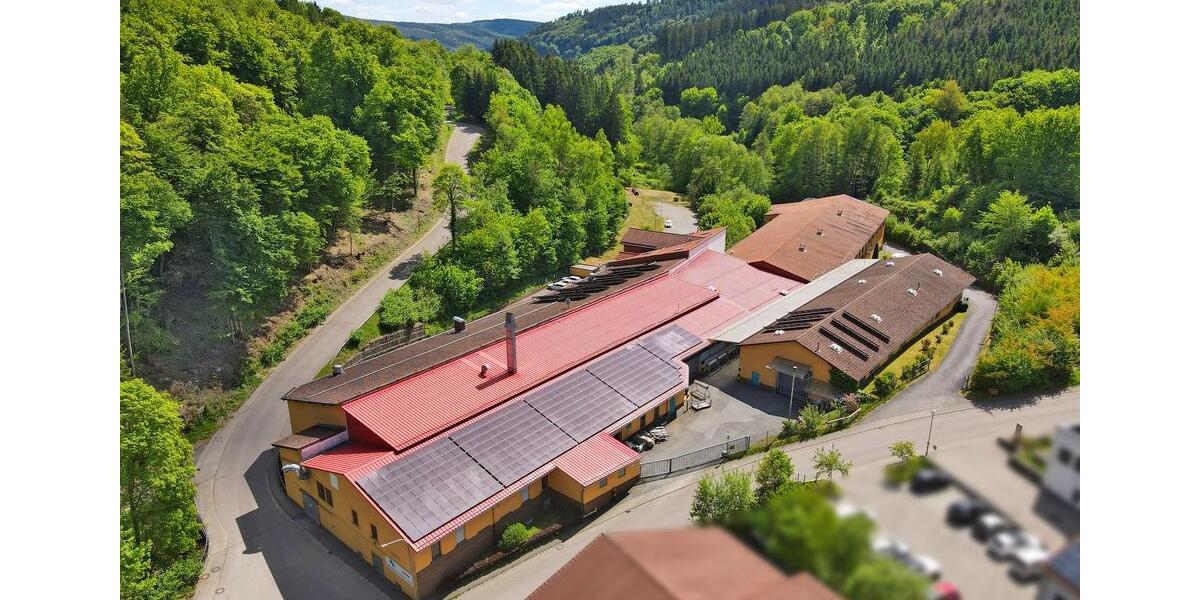 Gewerbeobjekt Wald-Michelbach Michelbach - 600&euro; | Angebot:25875592