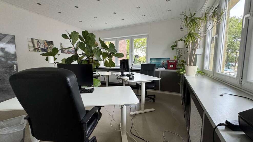Büro in Köln 700 € 38 m² zimmer