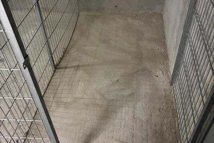 Wohnung Darmstadt Darmstadt-Nord - 1 Zimmer, 3 m&sup2;, 55&euro; | Angebot:24732631