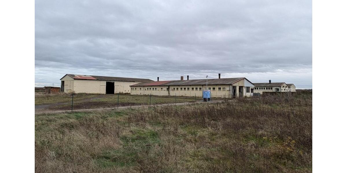 Gewerbeobjekt Jessen (Elster) - 785&euro; | Angebot:24373632