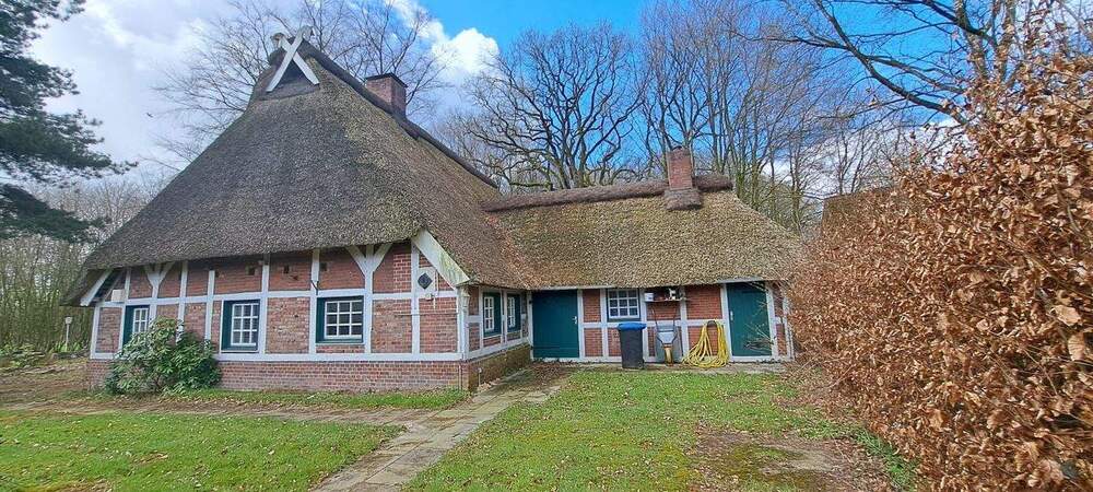 Gewerbeobjekt Sauensiek - 2 Zimmer, 110 m&sup2;, 1.500&euro; | Angebot:26064160