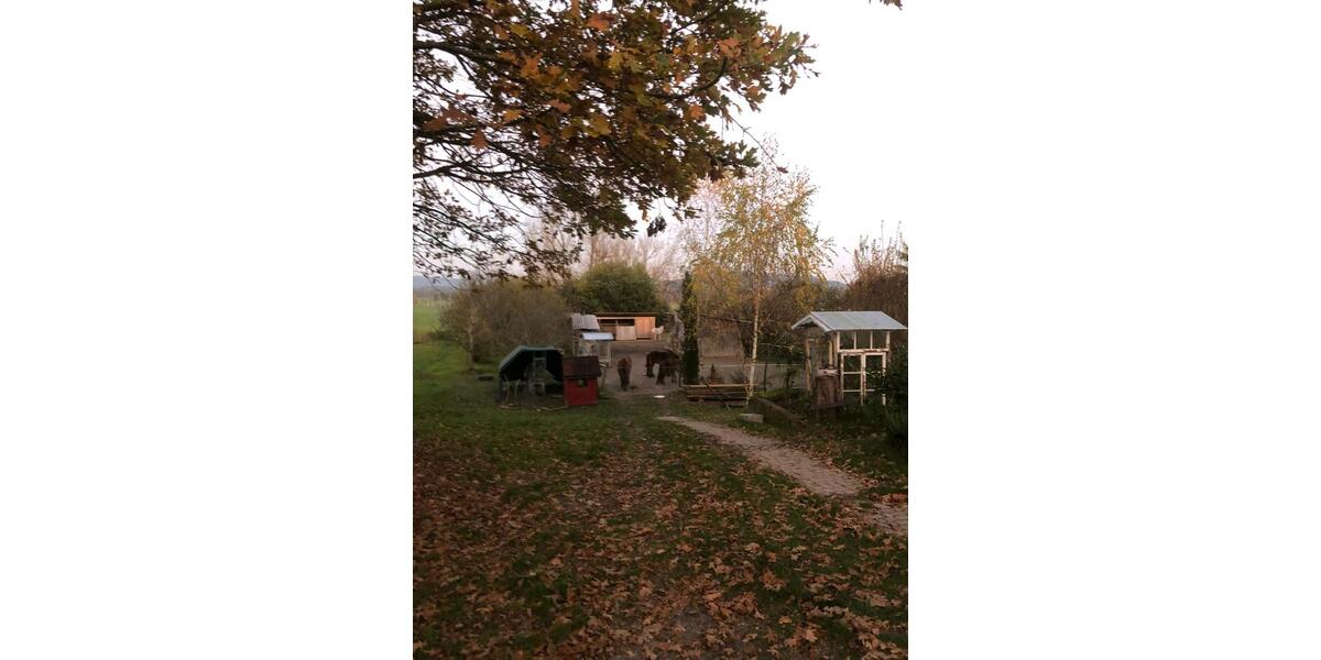 Bauernhaus, Landhaus Wilhelmsdorf - 7 Zimmer, 130 m&sup2;, 2.000&euro; | Angebot:25845678