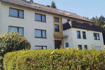 2 Zimmer-Wohnung in ruhiger Lage von Neuhaus im Solling zu vermieten 2 zimmer