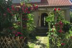 Wohnen auf Zeit Greifswald - 22 Zimmer, 160 m&sup2;, 430&euro; | Angebot:26566561