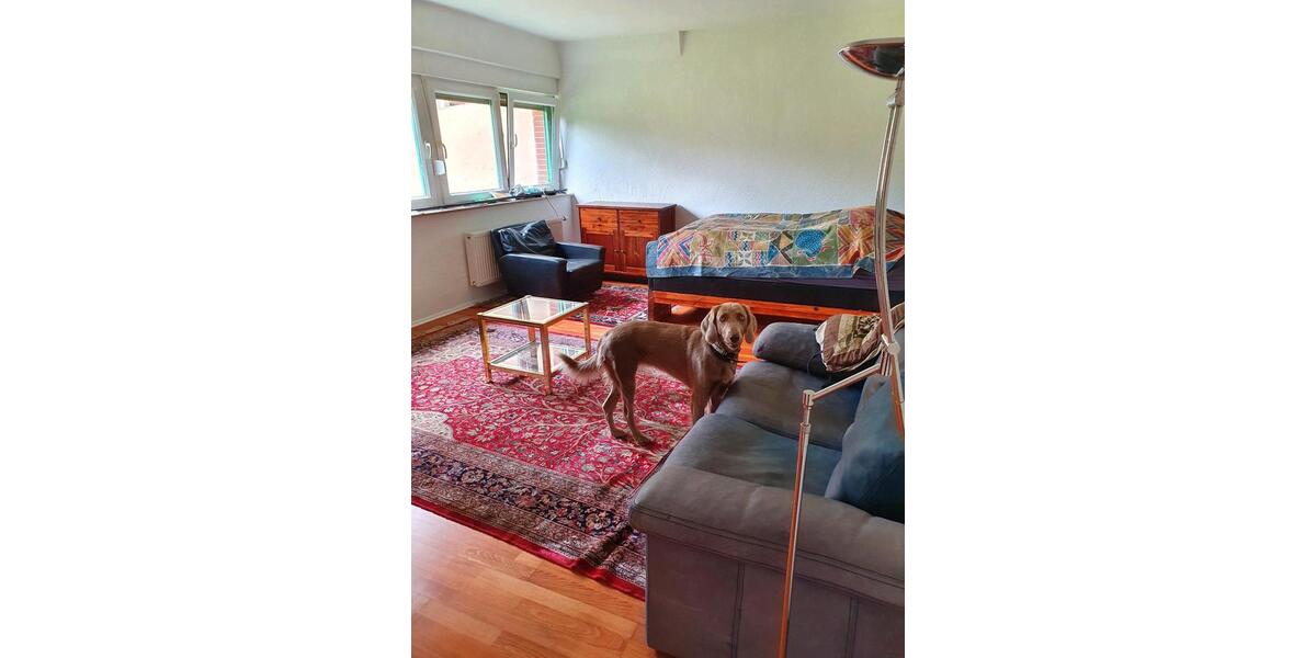Etagenwohnung Wachtberg - 1 Zimmer, 50 m&sup2;, 660&euro; | Angebot:26551096