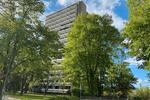 Etagenwohnung München Bogenhausen - 4 Zimmer, 127 m&sup2;, 4.100&euro; | Angebot:19001199
