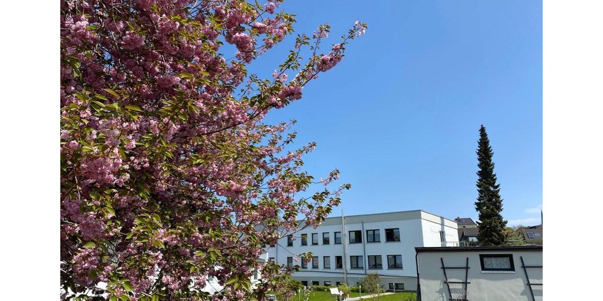 Etagenwohnung Bergen auf Rügen - 1 Zimmer, 26 m&sup2;, 408&euro; | Angebot:26199006