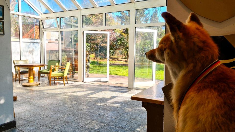 Wohnen auf Zeit Bonn Gronau - 1 Zimmer, 18 m&sup2;, 275&euro; | Angebot:24669590