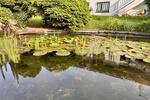 Loft - Studio - Atelier Altenstadt - 1 Zimmer, 100 m&sup2;, 850&euro; | Angebot:26701073
