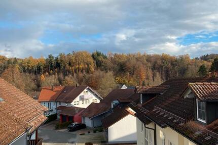 3-Zimmer Studiowohnung in Metten zentrumsnah 3 zimmer