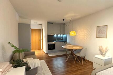 Leimen: NEU möbliertes 1-Zimmer-Apartment mit Balkon in Top-Lage! 1 zimmer