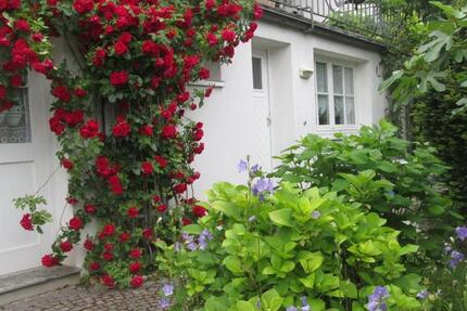 Bad Honnef Wohnung 32 qm möbliert Vermietung auf Zeit 2 zimmer