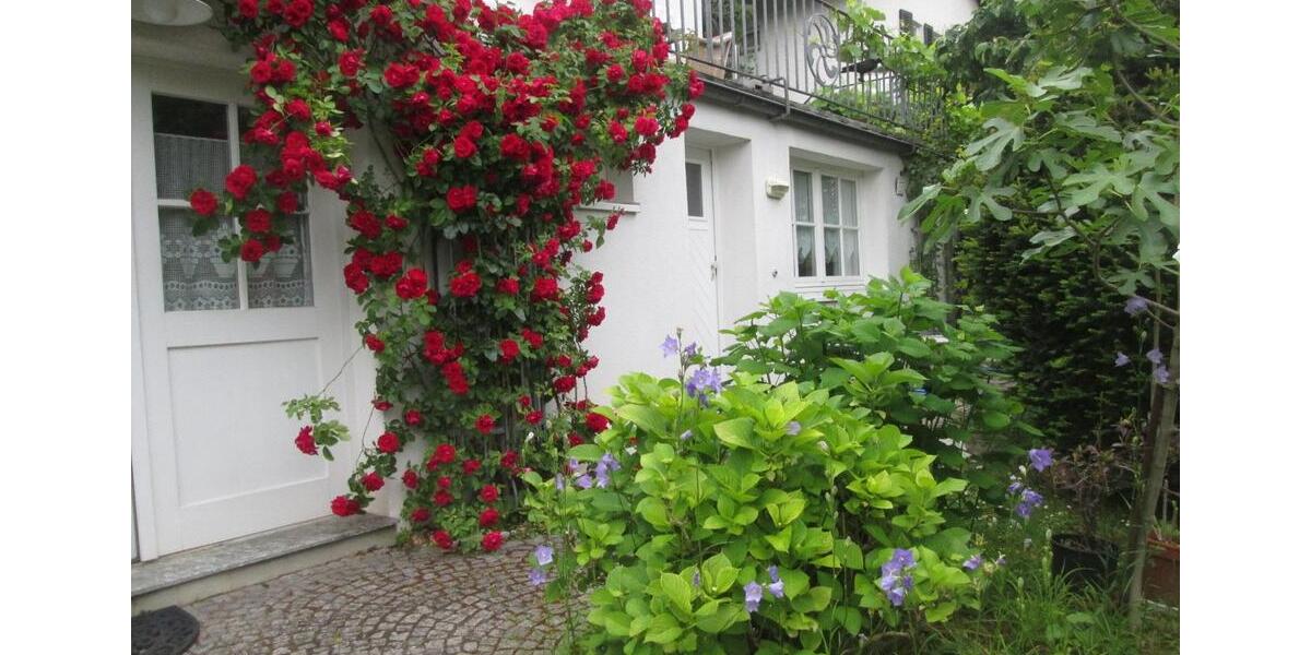 Bad Honnef Wohnung 32 qm möbliert Vermietung auf Zeit 2 zimmer