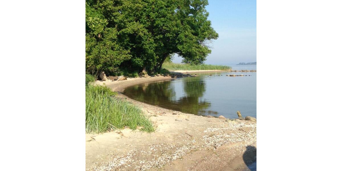 Dachgeschoßwohnung Usedom - 2 Zimmer, 60 m&sup2;, 65&euro; | Angebot:26659797