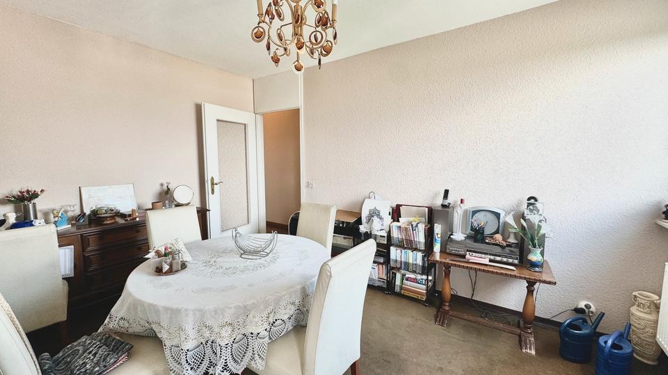 Möblierte 4-Zimmer-Wohnung mit Main- und Skylineblick im beliebten Offenbach Main Park 4 zimmer