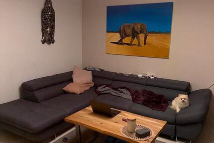 Traumhafte Dachgeschoss Wohnung mit 2,5 Zimmer u Balkon ab 01.01 2 zimmer