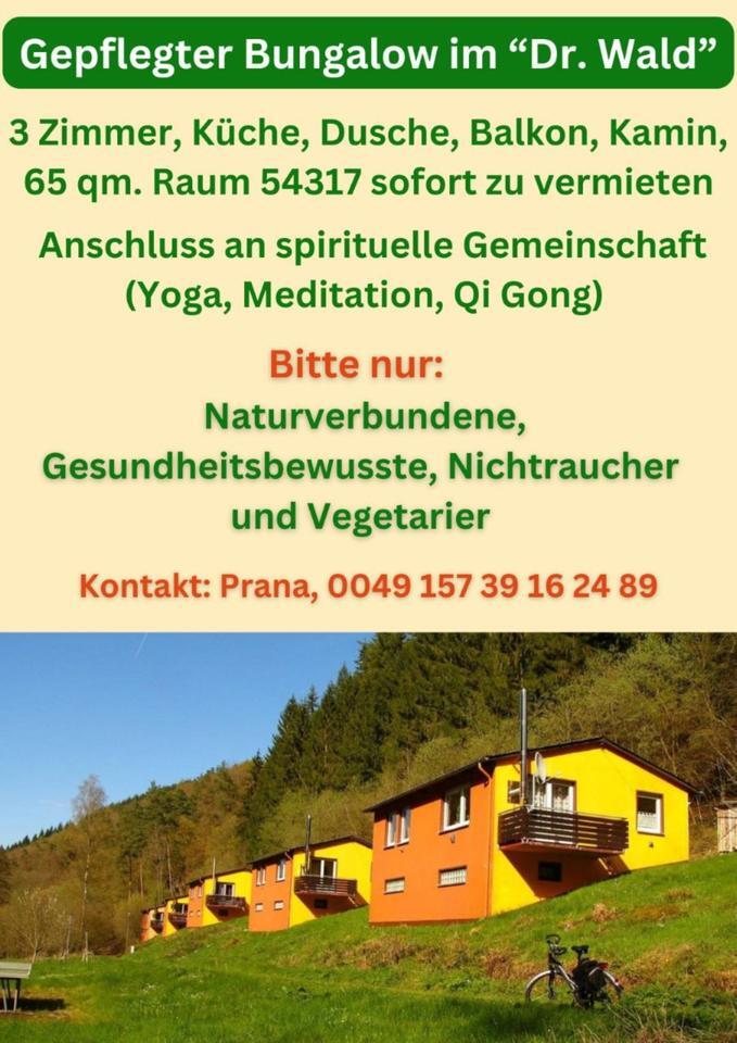 Bungalow in idyllischer Waldlage zu vermieten