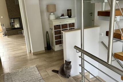 Haus Gütersloh - 5 Zimmer, 157 m&sup2;, 1.750&euro; | Angebot:25045896