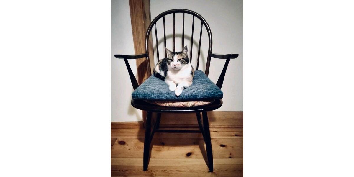 Wohnen auf Zeit Schleching - 1 Zimmer, 18 m&sup2;, 565&euro; | Angebot:24698305