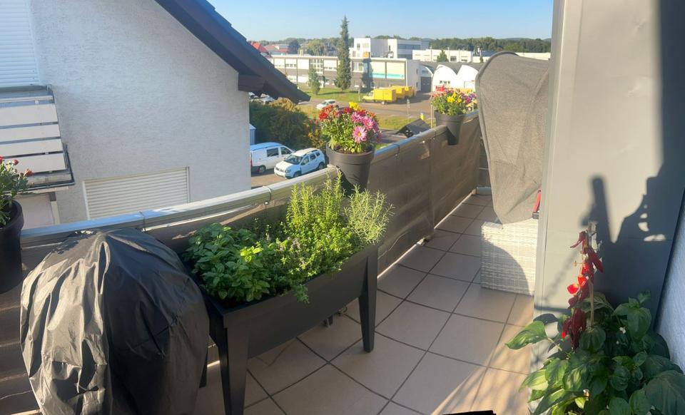 Dachgeschoßwohnung Mainhausen - 3 Zimmer, 68 m&sup2;, 800&euro; | Angebot:24454698