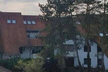 Renovierte 3 Zimmer Wohnung Sandhausen in ruhiger Lage zimmer