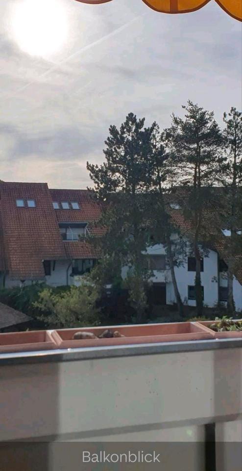 Renovierte 3 Zimmer Wohnung Sandhausen in ruhiger Lage zimmer